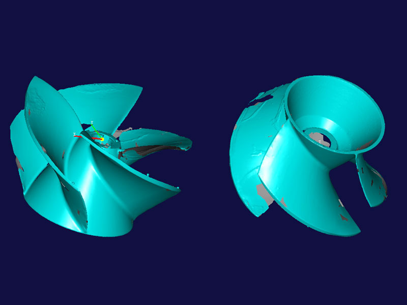 Ҷ�����ɨ���������ͼ