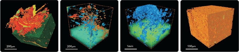 �������ģ�ʯ�͵��ʣ�